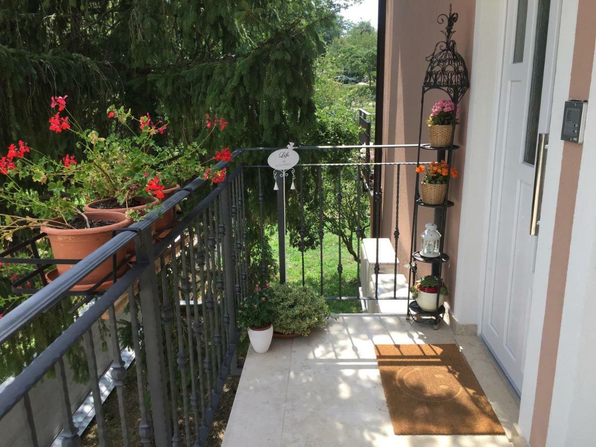 Middle Istra Apartment Pazin Exterior photo